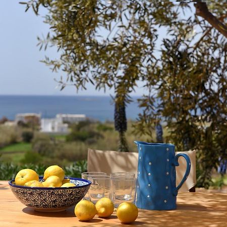 Good Life Greece Eco Villas Posidhonía Buitenkant foto